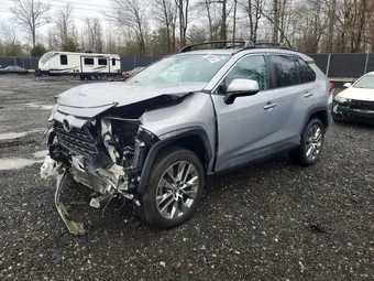2019 Toyota RAV4 2T3A1RFV6KW067807 Lot 79826245