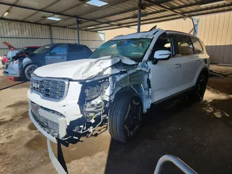 2025 Kia Telluride 5XYP6DGC9SG583802 Lot 48501486