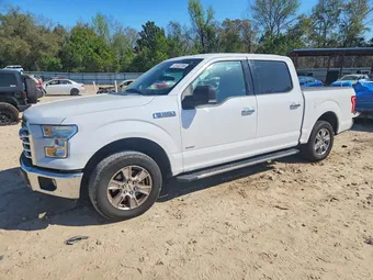 2015 Ford F-150 1FTEW1CG5FKE81038 Lot 41932356