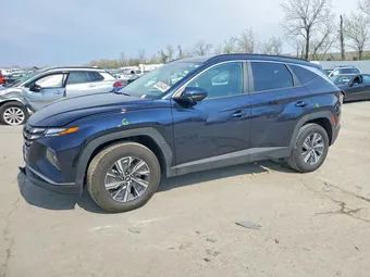 2024 Hyundai Tucson KM8JBCD18RU159904 Lot 48264406
