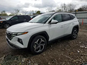 2023 Hyundai Tucson 5NMJECAE1PH200896 Lot 50214666