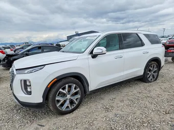 2020 Hyundai Palisade KM8R3DHE3LU081381