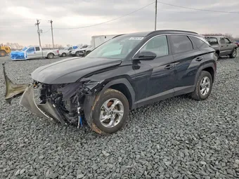 2023 Hyundai Tucson 5NMJBCAEXPH179667 Lot 47903416