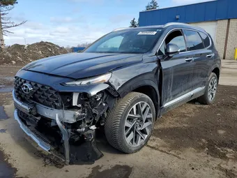 2021 Hyundai Santa Fe 5NMS5DAL8MH355675 Lot 78594055
