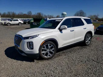 2020 Hyundai Palisade KM8R3DHE6LU147132 Lot 48509606
