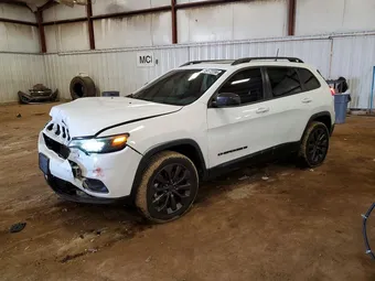 2021 Jeep Cherokee 1C4PJMMX3MD186657 Lot 49172286