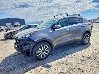 2017 Kia Sportage KNDPNCAC9H7034029 Lot 48973676