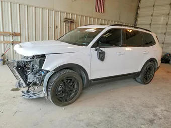 2024 Kia Telluride 5XYP5DGC0RG432621 Lot 46191626