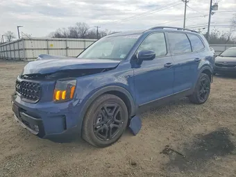 2024 Kia Telluride 5XYP5DGC9RG535939 Lot 45915346