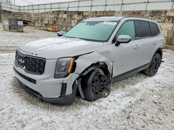 2022 Kia Telluride 5XYP3DHC4NG268126 Lot 79425155