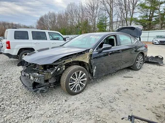 2019 Lexus ES 58ABZ1B19KU007667 Lot 49166286