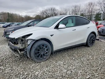 2020 Tesla Model Y 5YJYGDEE3LF040458 Lot 49373026