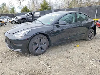 2023 Tesla Model 3 5YJ3E1EA4PF679157 Lot 46818306