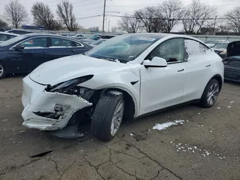 2023 Tesla Model Y 7SAYGDEE3PF666889 Lot 46128646