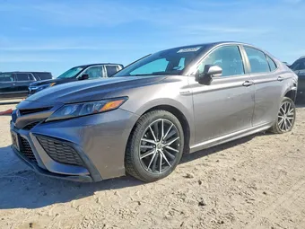 2021 Toyota Camry 4T1S31AK0MU569138 Lot 76463965
