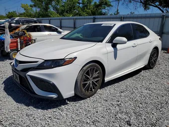 2023 Toyota Camry 4T1G11AK8PU831259 Lot 49969206