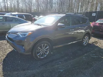 2017 Toyota RAV4 2T3DFREV0HW584934 Lot 46167976