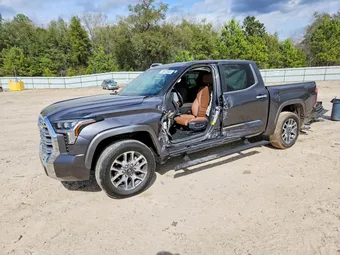 2025 Toyota Tundra 5TFMA5DB7SX297687 Lot 78872895