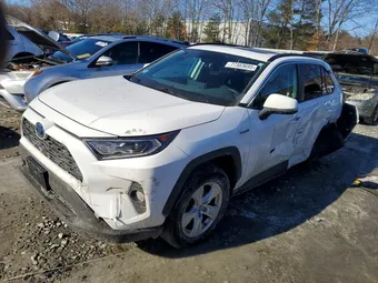 2021 Toyota RAV4 4T3R6RFV7MU007476 Lot 77383695