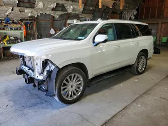 2021 Cadillac Escalade 1GYS4BKLXMR383019