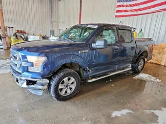 2016 Ford F-150 1FTEW1E85GFD03498 Lot 46559966