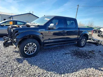 2019 Ford F-150 1FTEW1EP5KFB62268 Lot 47176806