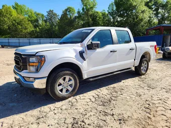 2023 Ford F-150 1FTEW1EP4PKG10496 Lot 49098786