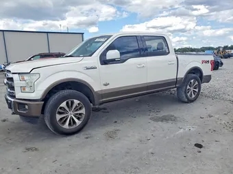 2015 Ford F-150 1FTEW1EF9FFB30257 Lot 50197176