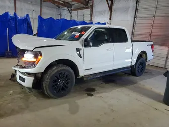 2024 Ford F-150 1FTFW3LD4RFB36599 Lot 73368905