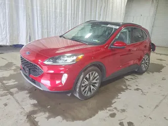 2020 Ford Escape 1FMCU9J99LUC65446 Lot 50982186