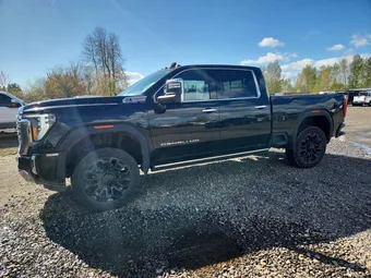 2025 GMC Sierra 1GT4UREY1SF213919 Lot 47290306