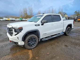2025 GMC Sierra 1500 3GTUUCE89SG173634 Lot 76316725