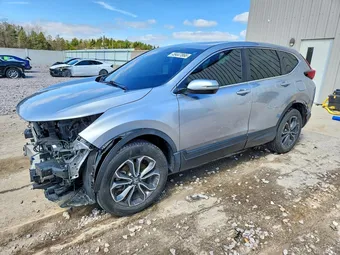 2020 Honda CR-V 5J6RW2H87LL032517 Lot 49447866