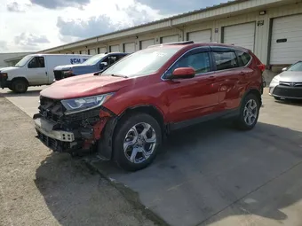 2019 Honda CR-V 2HKRW2H83KH621198 Lot 49976476