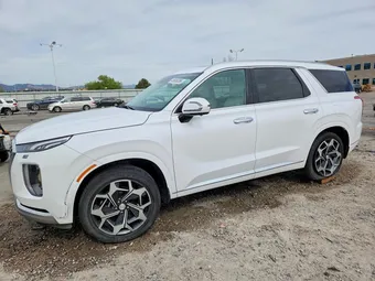 2021 Hyundai Palisade KM8R7DHE3MU191532 Lot 48686056