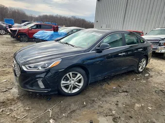 2019 Hyundai Sonata 5NPE34AF3KH803558 Lot 45535346