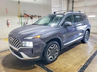 2021 Hyundai Santa Fe KM8S3DA1XMU013122 Lot 50092446