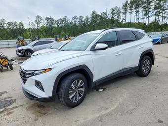2024 Hyundai Tucson KM8JBCD15RU210467 Lot 47819786