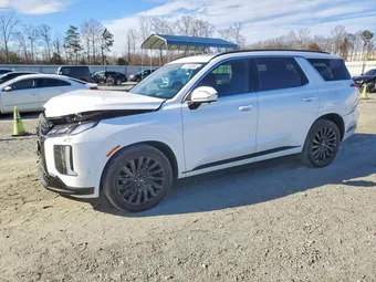 2025 Hyundai Palisade KM8R7DGE0SU914106 Lot 77135365