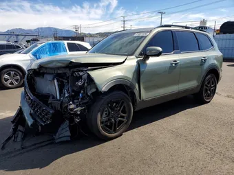 2025 Kia Telluride 5XYP5DGC9SG573855