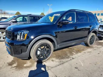2025 Kia Telluride 5XYP5DGC0SG693981 Lot 78460135