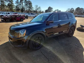 2021 Kia Telluride 5XYP3DHC1MG140540 Lot 77322115