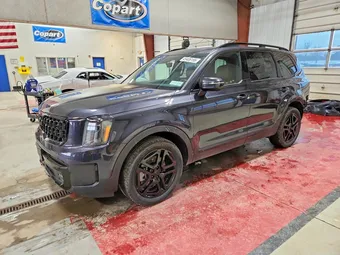 2025 Kia Telluride 5XYP5DGC6SG646079 Lot 49406196