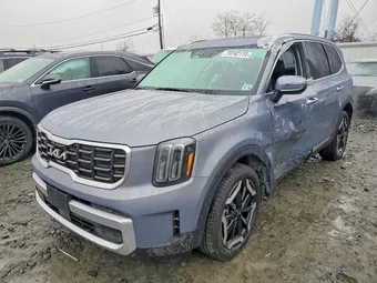 2025 Kia Telluride 5XYP6DGC7SG674051 Lot 79742115