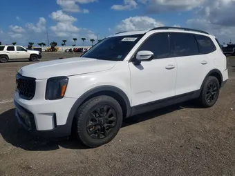 2024 Kia Telluride 5XYP5DGC3RG468867 Lot 48656376