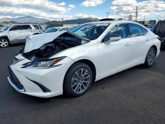 2025 Lexus ES 58ACZ1B11SU205812 Lot 77813635