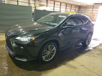 2022 Lexus NX 350 2T2HGCEZ6NC010578 Lot 51186626