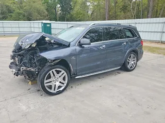 2016 Mercedes-Benz GL-Class 4JGDF7EE6GA693590