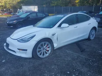 2019 Tesla Model 3 5YJ3E1EB6KF427430 Lot 82310285