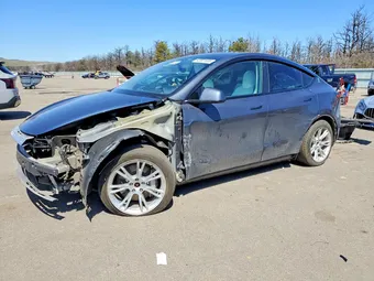 2023 Tesla Model Y 7SAYGDEE1PF747454 Lot 48901506